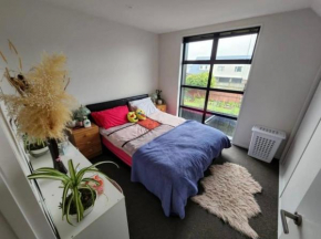 Townhouse & Home, Christchurch